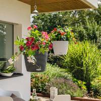 Кашпо Lechuza Nido Cottage 35 светло-серый фото 4 &mdash; Lechu-Za-Kashpo.ru